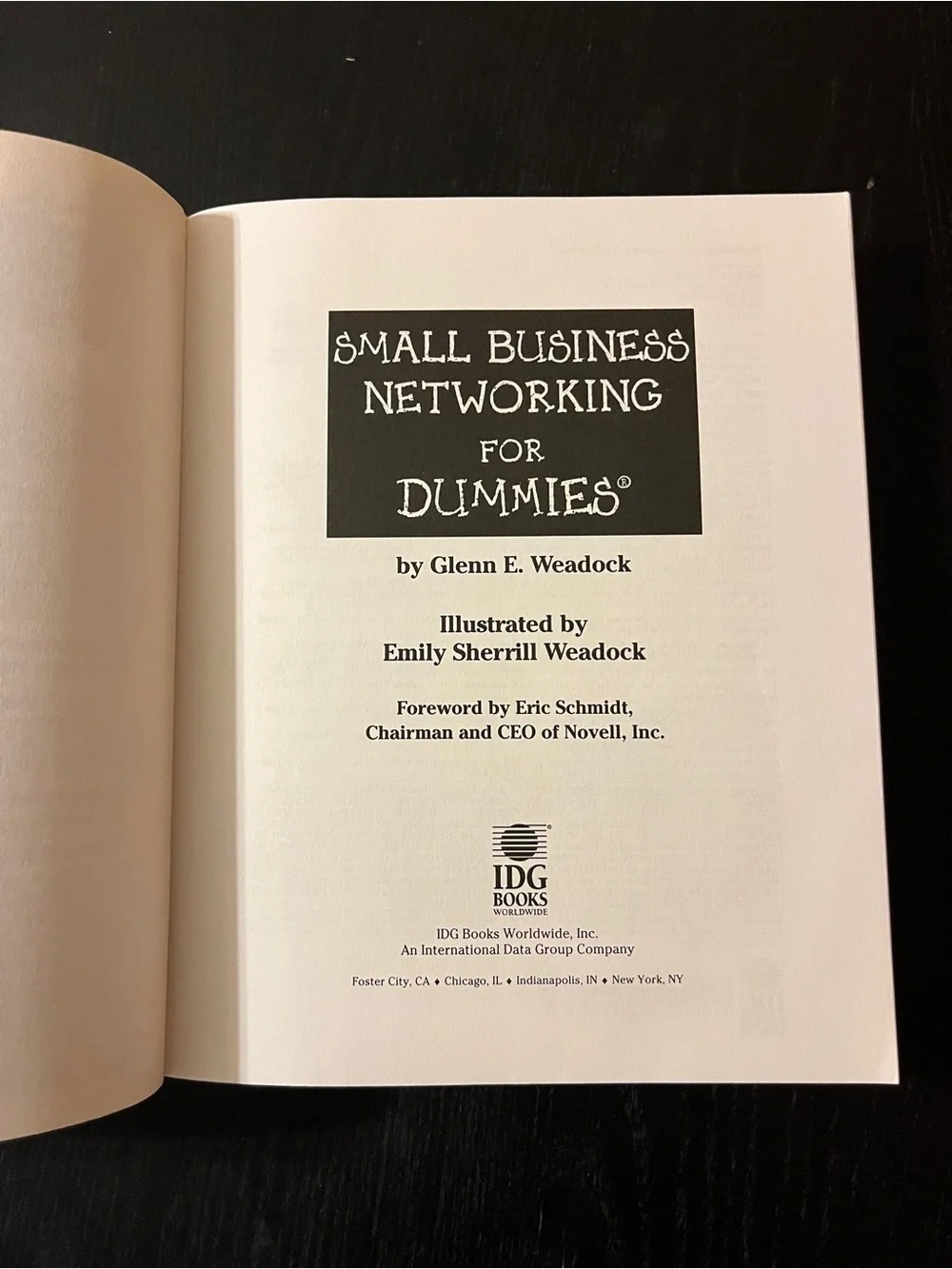 (Original $24.99) Small Business Networking For Dummies Book CD ISBN 0764502891